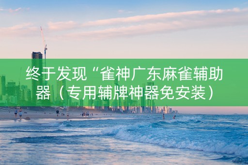 终于发现“雀神广东麻雀辅助器（专用辅牌神器免安装）