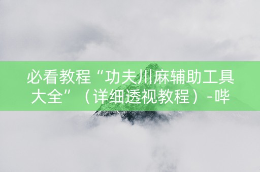 必看教程“功夫川麻辅助工具大全”（详细透视教程）-哔哩哔哩