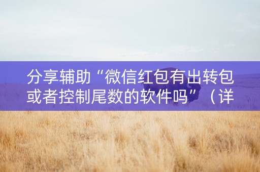 分享辅助“微信红包有出转包或者控制尾数的软件吗”（详细透视教程）-哔哩哔哩