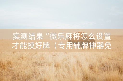 实测结果“微乐麻将怎么设置才能摸好牌（专用辅牌神器免安装）