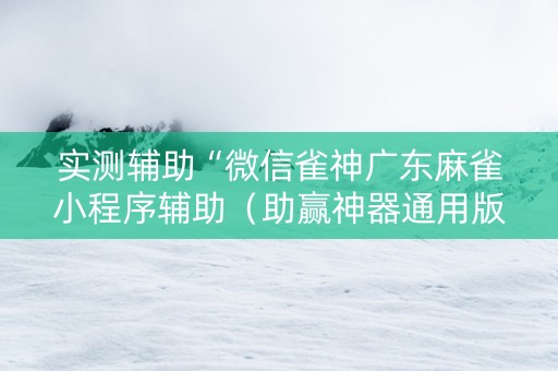 实测辅助“微信雀神广东麻雀小程序辅助（助赢神器通用版）