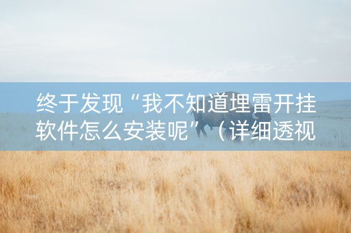 终于发现“我不知道埋雷开挂软件怎么安装呢”（详细透视教程）-哔哩哔哩