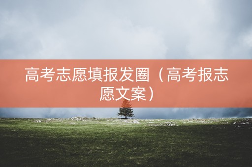 高考志愿填报发圈（高考报志愿文案）