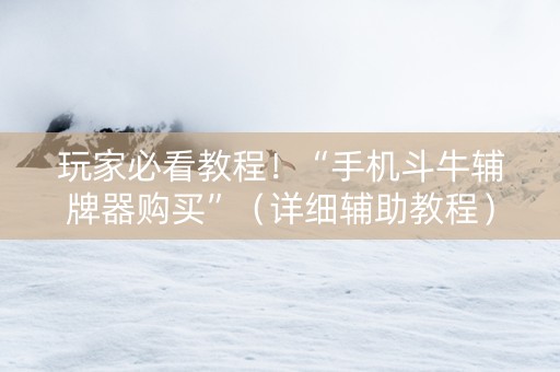 玩家必看教程！“手机斗牛辅牌器购买”（详细辅助教程）-哔哩哔哩