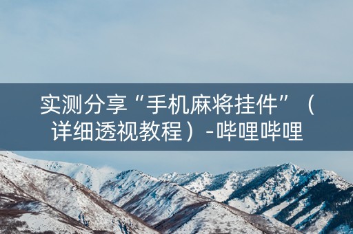 实测分享“手机麻将挂件”（详细透视教程）-哔哩哔哩