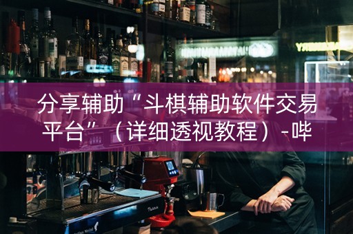 分享辅助“斗棋辅助软件交易平台”（详细透视教程）-哔哩哔哩