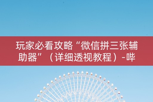 玩家必看攻略“微信拼三张辅助器”（详细透视教程）-哔哩哔哩