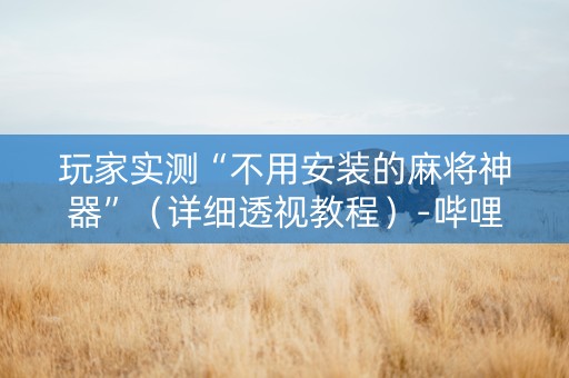 玩家实测“不用安装的麻将神器”（详细透视教程）-哔哩哔哩