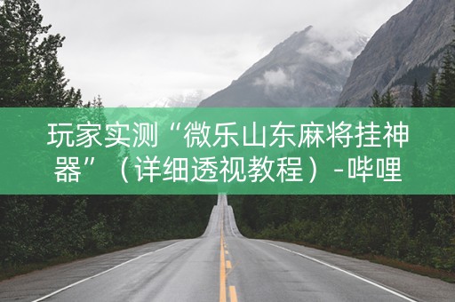 玩家实测“微乐山东麻将挂神器”（详细透视教程）-哔哩哔哩