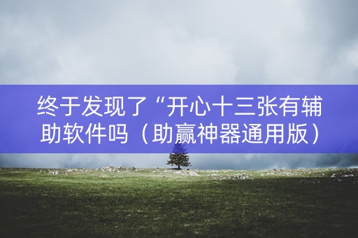 终于发现了“开心十三张有辅助软件吗（助赢神器通用版）
