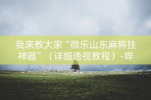 我来教大家“微乐山东麻将挂神器”（详细透视教程）-哔哩哔哩