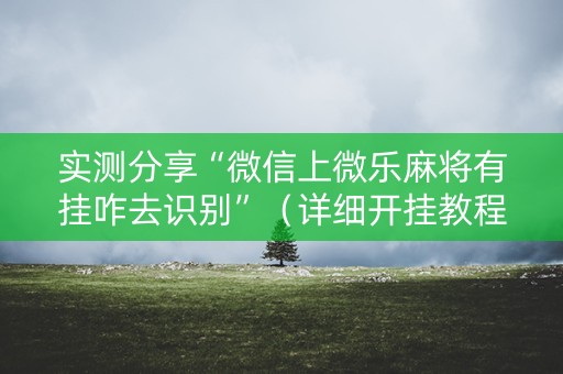 实测分享“微信上微乐麻将有挂咋去识别”（详细开挂教程）-哔哩哔哩