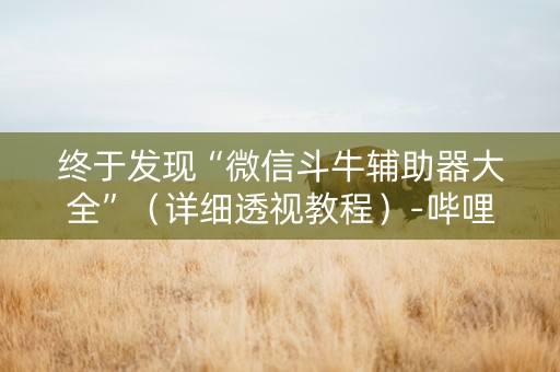 终于发现“微信斗牛辅助器大全”（详细透视教程）-哔哩哔哩