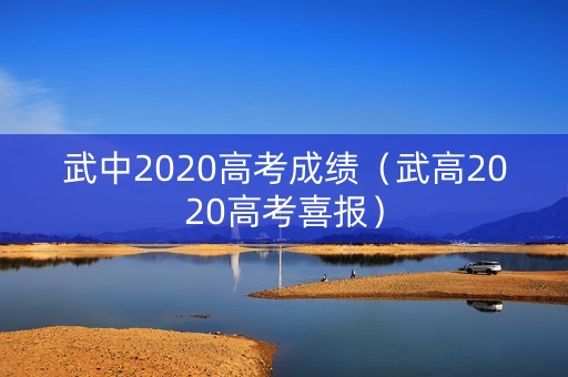 武中2020高考成绩（武高2020高考喜报）
