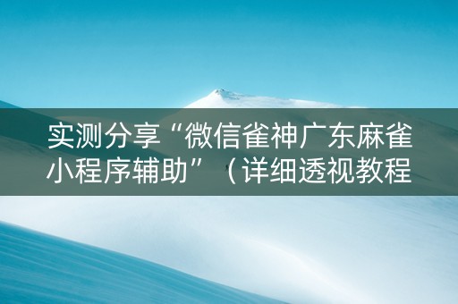 实测分享“微信雀神广东麻雀小程序辅助”（详细透视教程）-哔哩哔哩