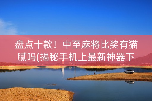 盘点十款！中至麻将比奖有猫腻吗(揭秘手机上最新神器下载)