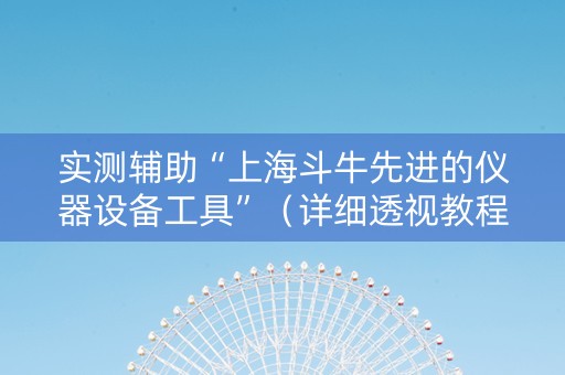 实测辅助“上海斗牛先进的仪器设备工具”（详细透视教程）-哔哩哔哩