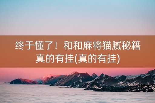 终于懂了！和和麻将猫腻秘籍真的有挂(真的有挂)