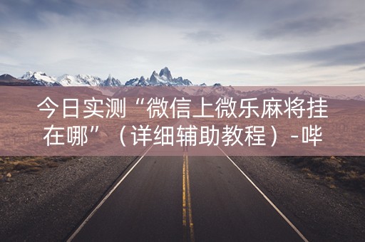 今日实测“微信上微乐麻将挂在哪”（详细辅助教程）-哔哩哔哩