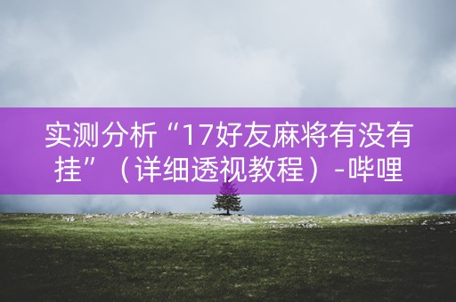实测分析“17好友麻将有没有挂”（详细透视教程）-哔哩哔哩