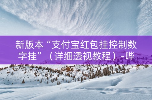 新版本“支付宝红包挂控制数字挂”（详细透视教程）-哔哩哔哩