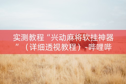 实测教程“兴动麻将软挂神器”（详细透视教程）-哔哩哔哩