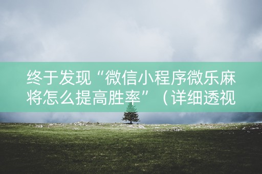 终于发现“微信小程序微乐麻将怎么提高胜率”（详细透视教程）-哔哩哔哩
