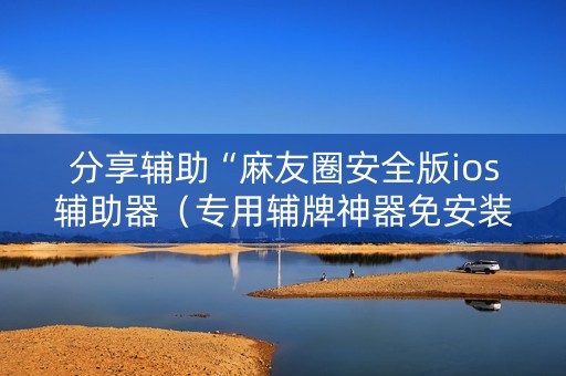 分享辅助“麻友圈安全版ios辅助器（专用辅牌神器免安装）