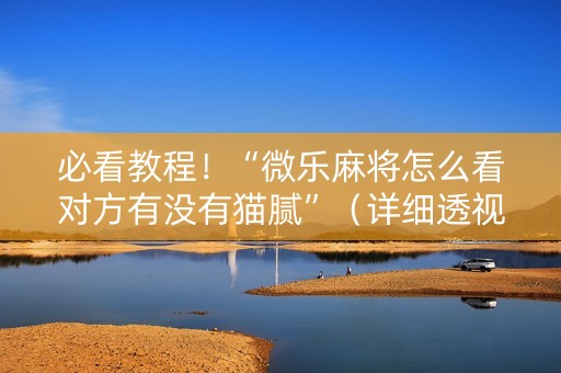 必看教程！“微乐麻将怎么看对方有没有猫腻”（详细透视教程）-哔哩哔哩