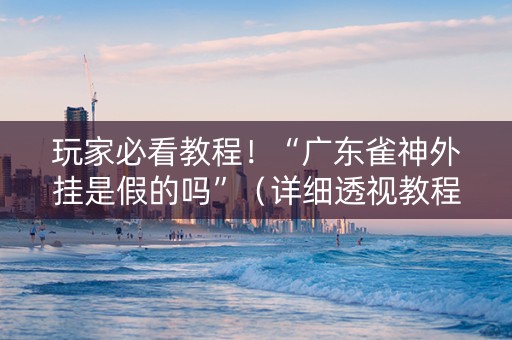 玩家必看教程！“广东雀神外挂是假的吗”（详细透视教程）-哔哩哔哩