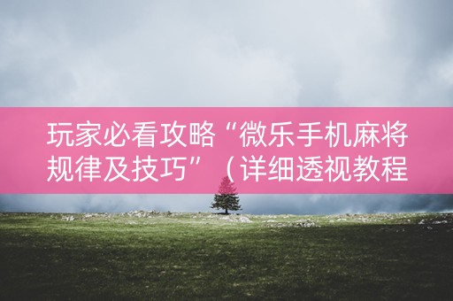 玩家必看攻略“微乐手机麻将规律及技巧”（详细透视教程）-哔哩哔哩