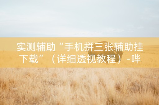 实测辅助“手机拼三张辅助挂下载”（详细透视教程）-哔哩哔哩