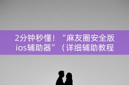 2分钟秒懂！“麻友圈安全版ios辅助器”（详细辅助教程）-哔哩哔哩