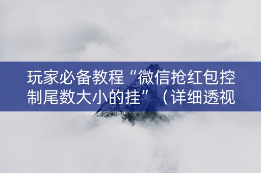 玩家必备教程“微信抢红包控制尾数大小的挂”（详细透视教程）-哔哩哔哩
