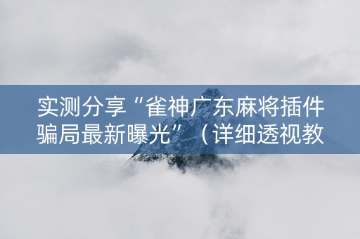 实测分享“雀神广东麻将插件骗局最新曝光”（详细透视教程）-哔哩哔哩
