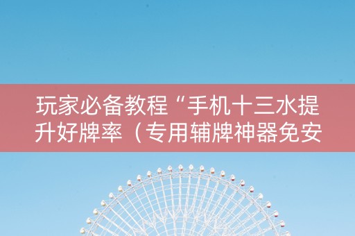 玩家必备教程“手机十三水提升好牌率（专用辅牌神器免安装）