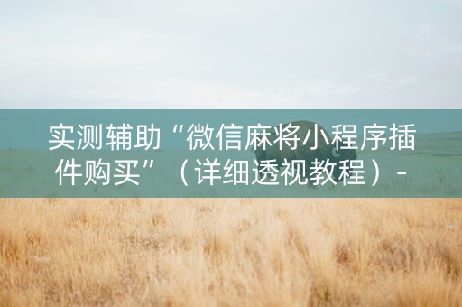 实测辅助“微信麻将小程序插件购买”（详细透视教程）-哔哩哔哩