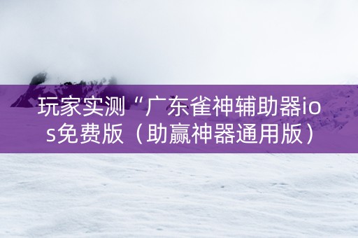 玩家实测“广东雀神辅助器ios免费版（助赢神器通用版）