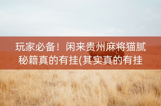 玩家必备！闲来贵州麻将猫腻秘籍真的有挂(其实真的有挂)
