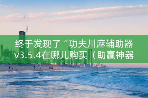 终于发现了“功夫川麻辅助器v3.5.4在哪儿购买（助赢神器通用版）