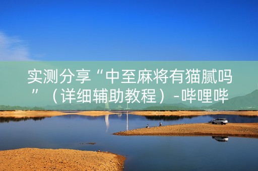 实测分享“中至麻将有猫腻吗”（详细辅助教程）-哔哩哔哩