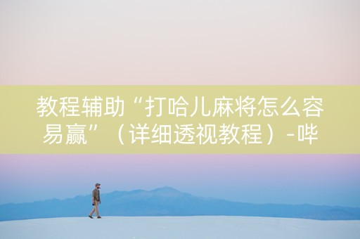 教程辅助“打哈儿麻将怎么容易赢”（详细透视教程）-哔哩哔哩