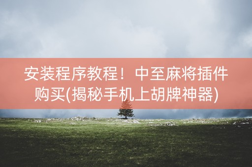 安装程序教程！中至麻将插件购买(揭秘手机上胡牌神器)