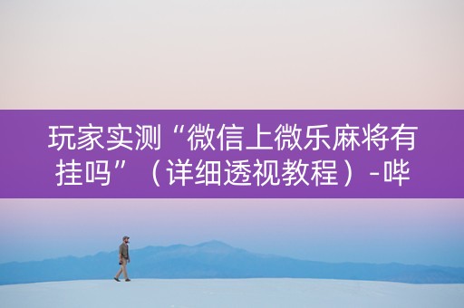 玩家实测“微信上微乐麻将有挂吗”（详细透视教程）-哔哩哔哩