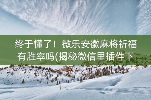 终于懂了！微乐安徽麻将祈福有胜率吗(揭秘微信里插件下载)