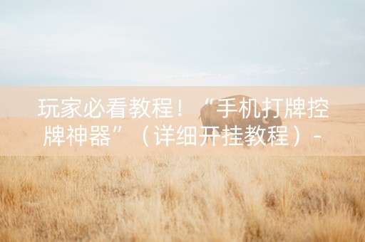 玩家必看教程！“手机打牌控牌神器”（详细开挂教程）-哔哩哔哩