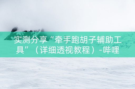实测分享“牵手跑胡子辅助工具”（详细透视教程）-哔哩哔哩