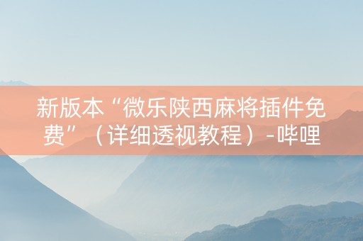 新版本“微乐陕西麻将插件免费”（详细透视教程）-哔哩哔哩
