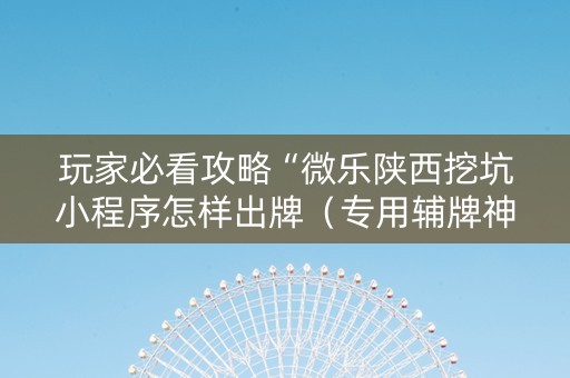 玩家必看攻略“微乐陕西挖坑小程序怎样出牌（专用辅牌神器免安装）