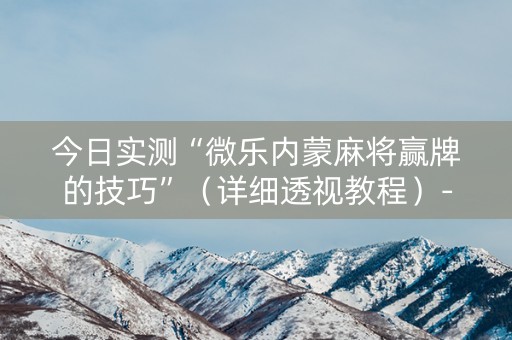 今日实测“微乐内蒙麻将赢牌的技巧”（详细透视教程）-哔哩哔哩